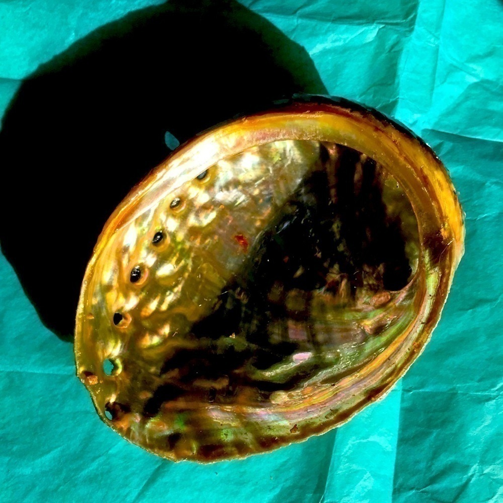 Abalone shell for smudging or as an accent!
